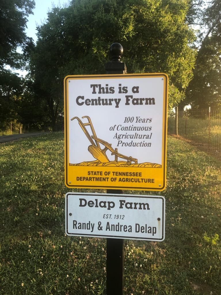 Delap Farm 4.jpg